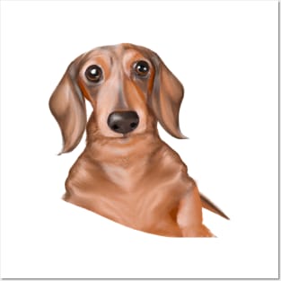 Cute Dachshund Drawing Posters and Art